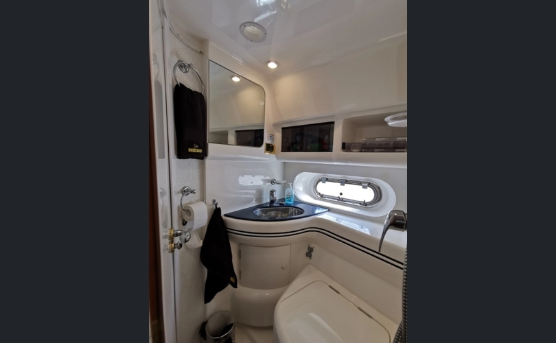 Sealine F43 YERO-kuva-5